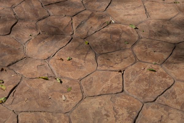 Cost of Concrete Texturing in Anaheim